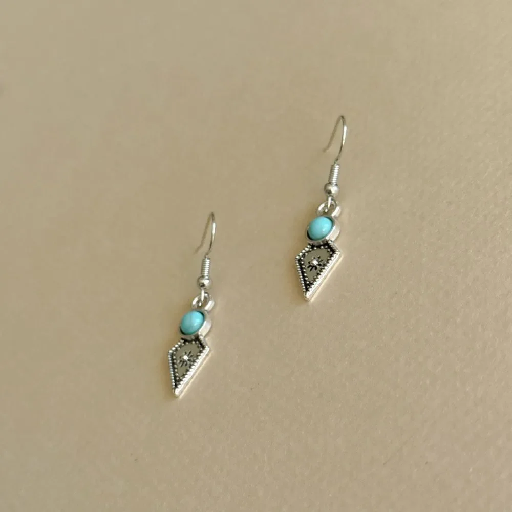Boho dangle Earrings N1794